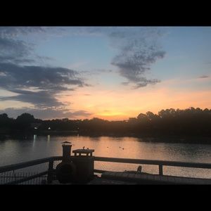 Meet your Posher, Ava